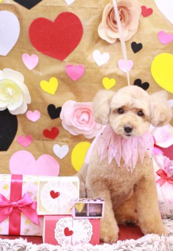 20230202モンチちゃん